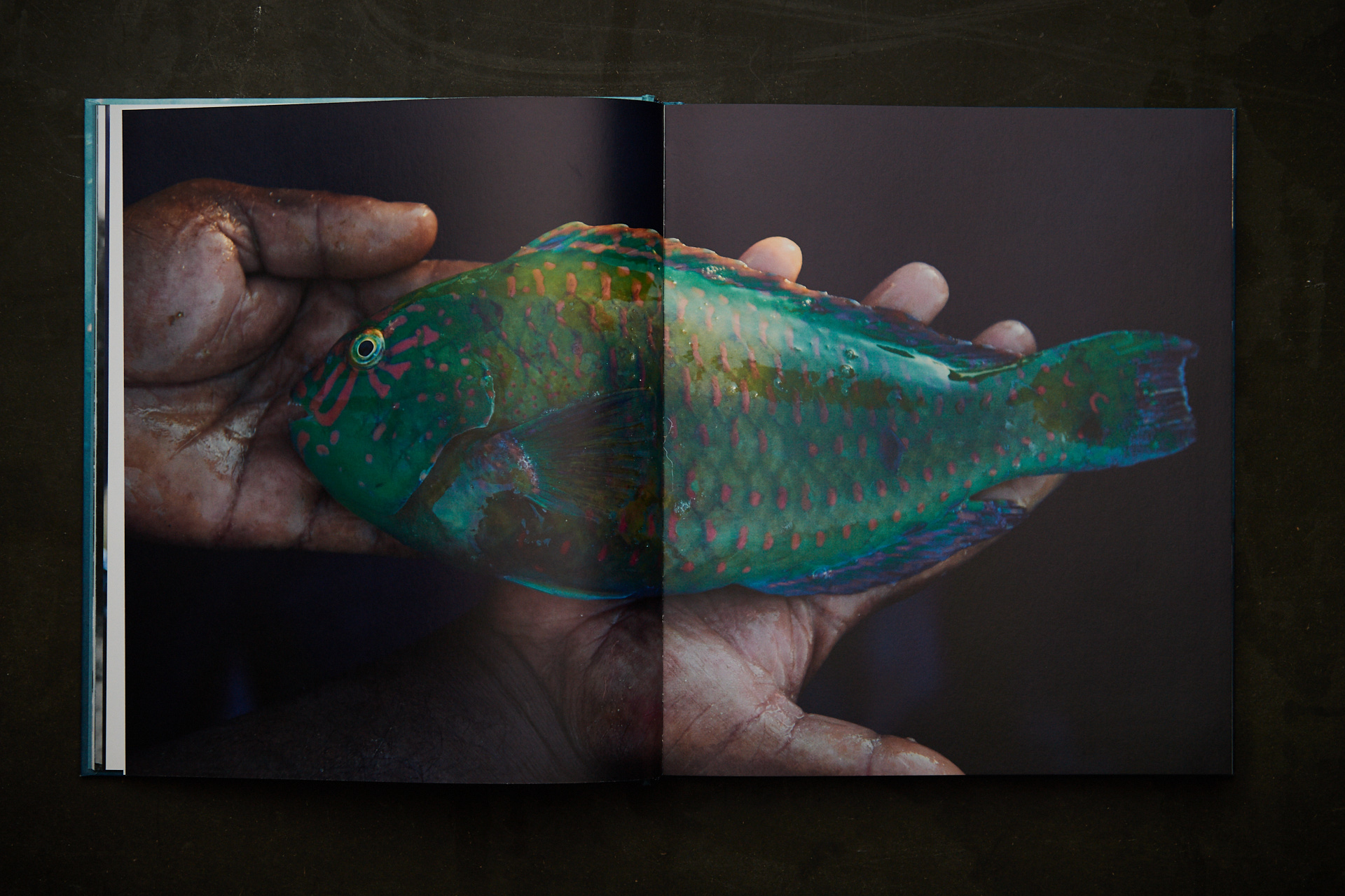 lukaslienhard_food_fotograf_zuerich_aquacasia_kochbuch_mauritius-5